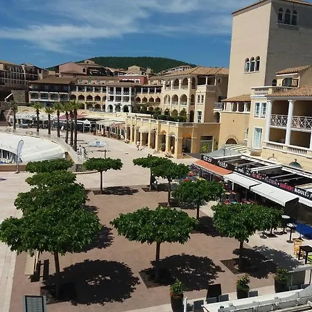 Anémone Saint-Raphaël